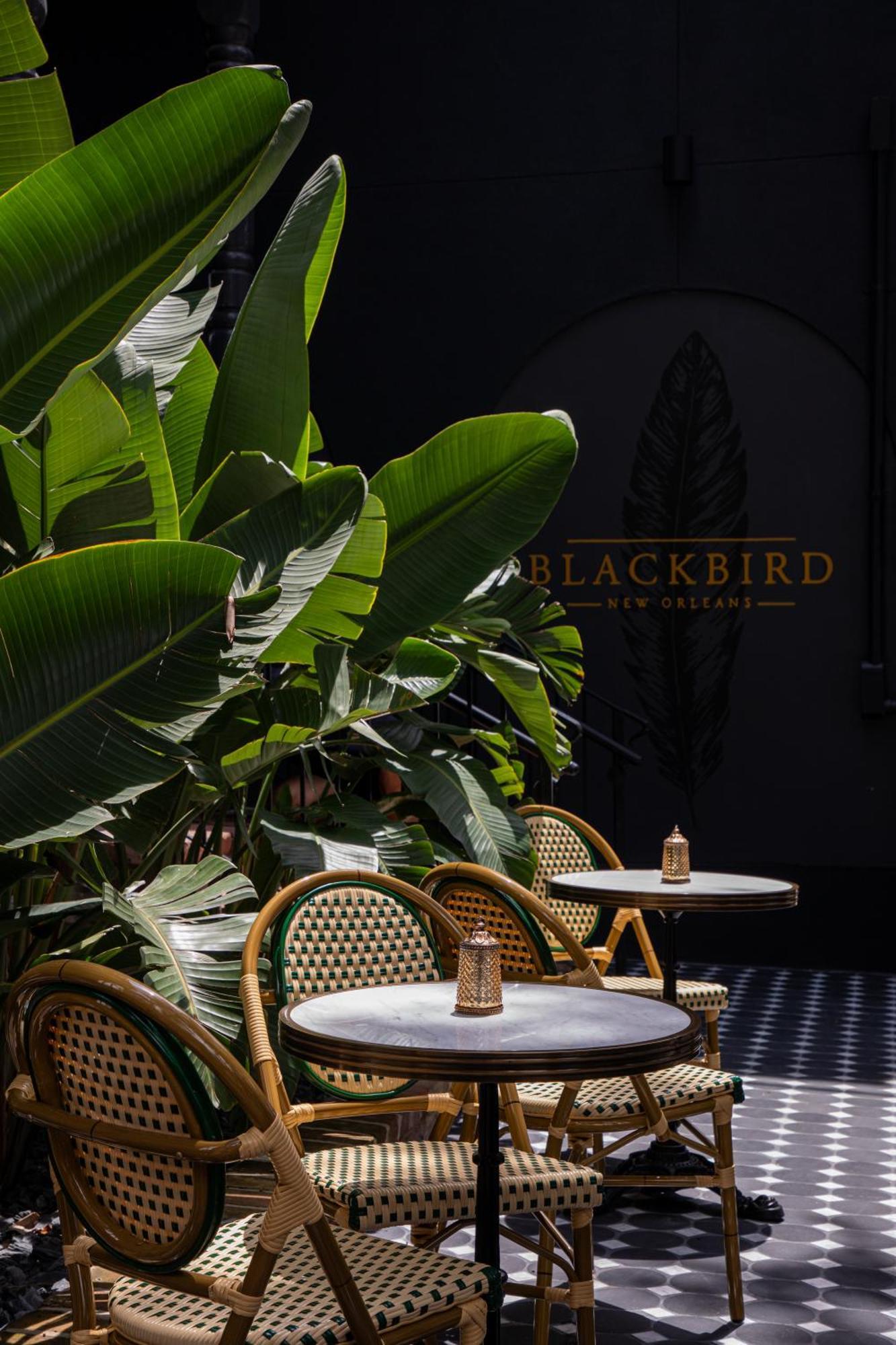 Blackbird Hotel Νέα Ορλεάνη Εξωτερικό φωτογραφία