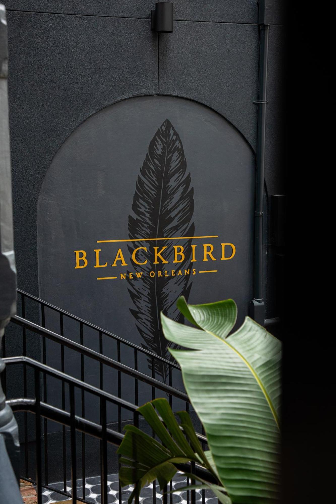 Blackbird Hotel Νέα Ορλεάνη Εξωτερικό φωτογραφία
