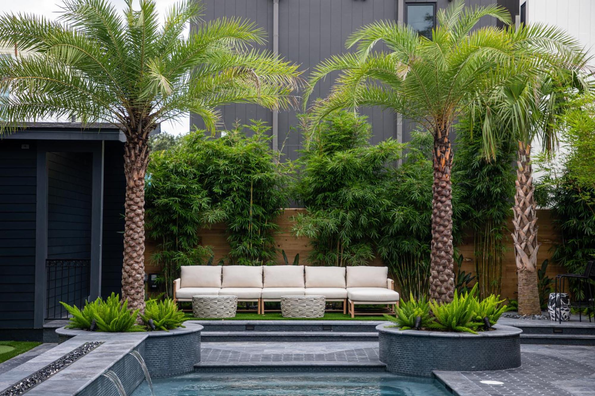 Blackbird Hotel Νέα Ορλεάνη Εξωτερικό φωτογραφία