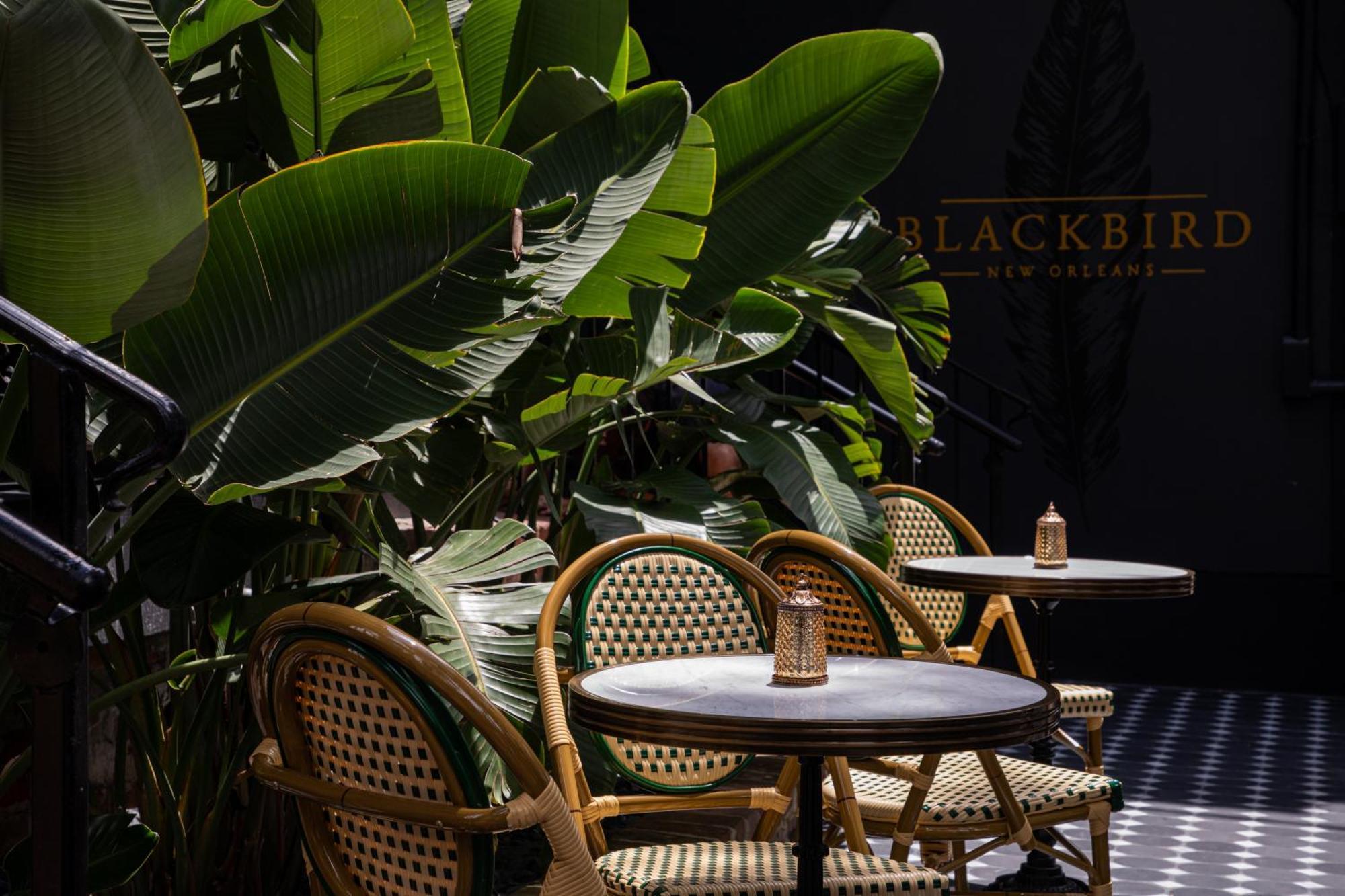 Blackbird Hotel Νέα Ορλεάνη Εξωτερικό φωτογραφία